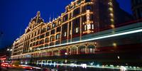 The Harrod's Christmas decorations are legendary.