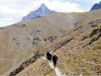 Crossing the saddle on the Pamir Fann Mountain Trek |  Natalie Tambolash