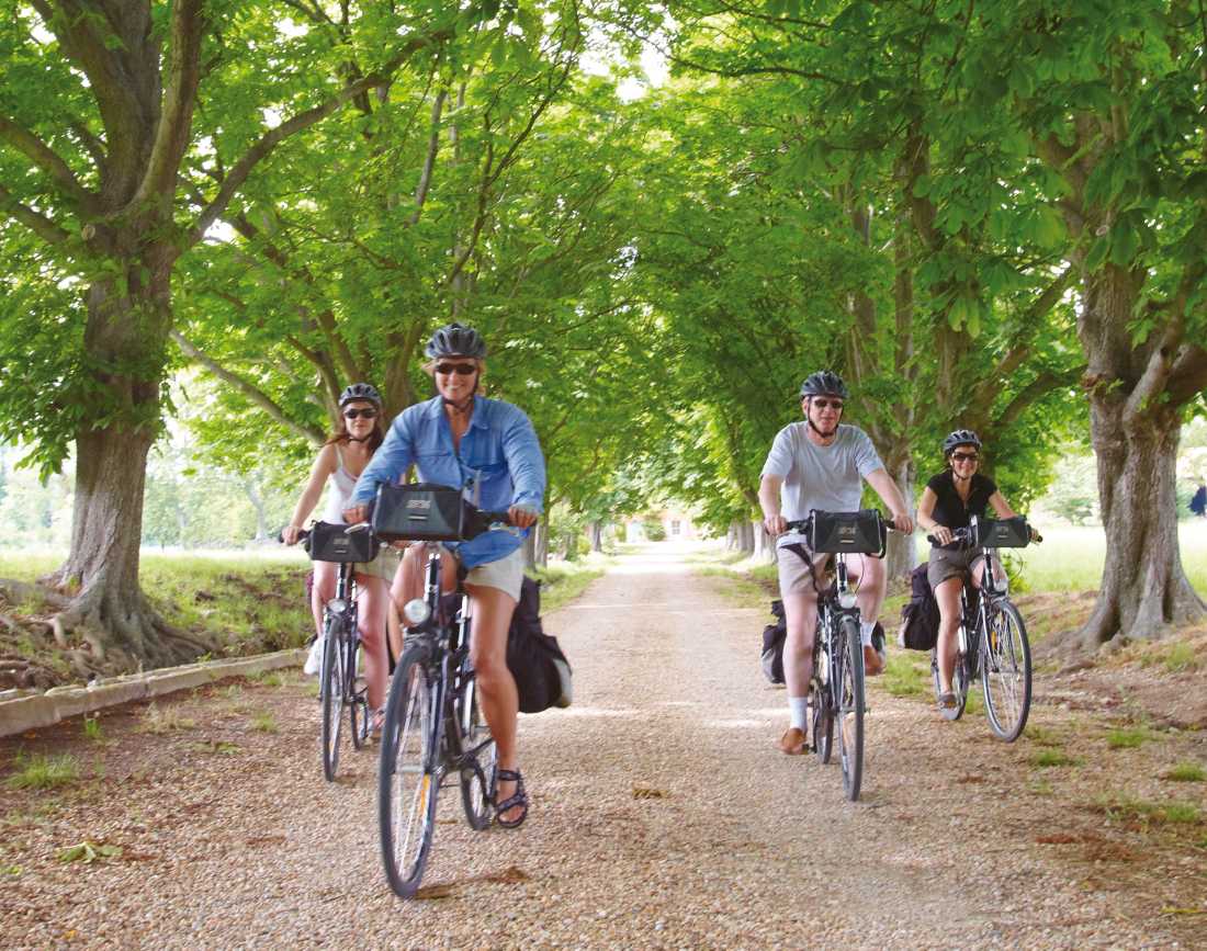 Cycling in Provence, France |  Ewen Bell