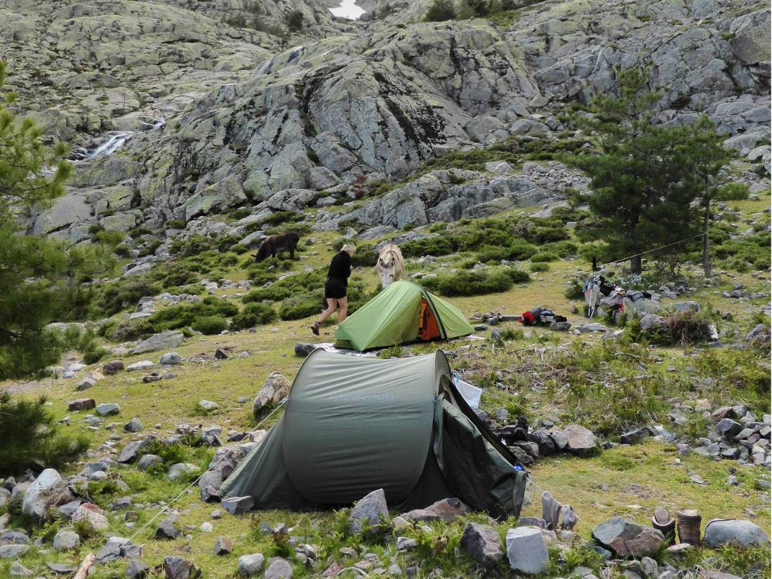 Camping on the GR20 |  <i>Gesine Cheung</i>
