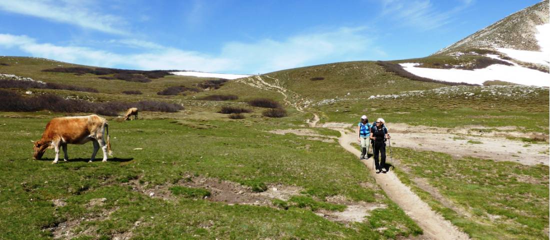 Passing the locals on the GR20 |  <i>Gesine Cheung</i>