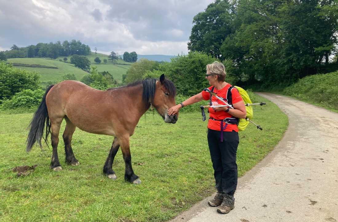 Meeting a charming local on the Le Puy Camino | Hilda Olivier