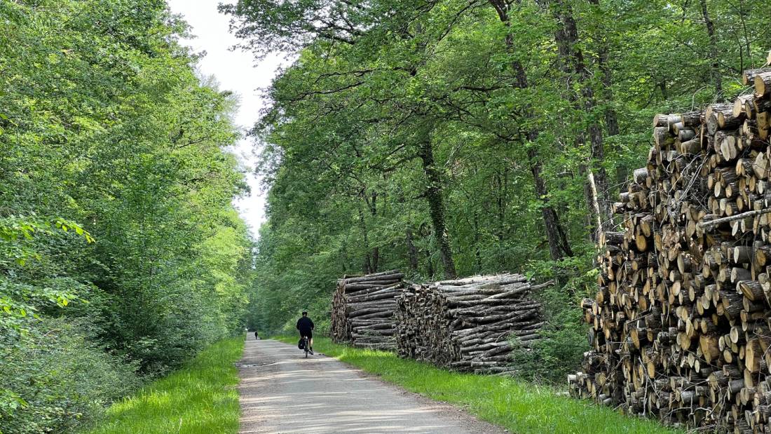 Cycling in the Loire Valley | <i>Merilyn O'Kane</i>