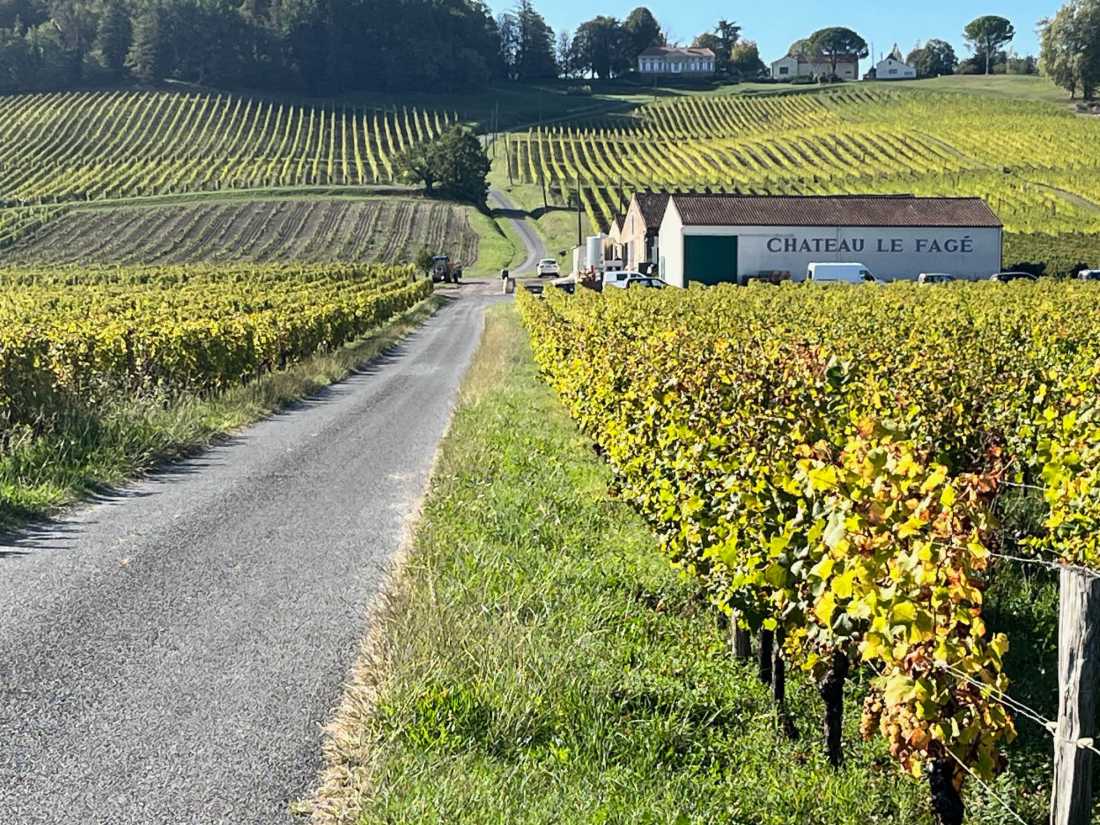 A change of scenery is welcome as we climb through the vines, though the terrain is becoming hillier. |  Jennifer Andrewes