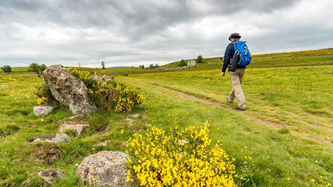 Walking the inspiring Camino trail