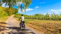 Cycling along the Alsatian Wine Route in France