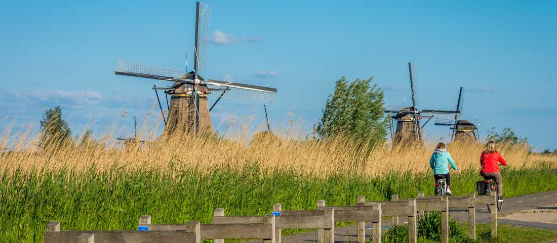 Cycle by windmills in the Kinderdijk