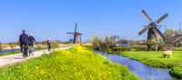 Ride by traditional Dutch windmills in Kinderdijk