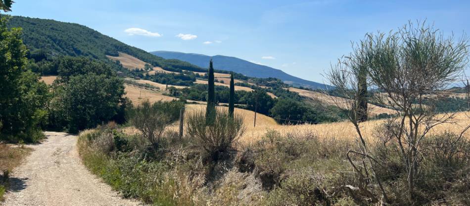 Beautiful landscapes of Italy | <i>Jaclyn Lofts</i>