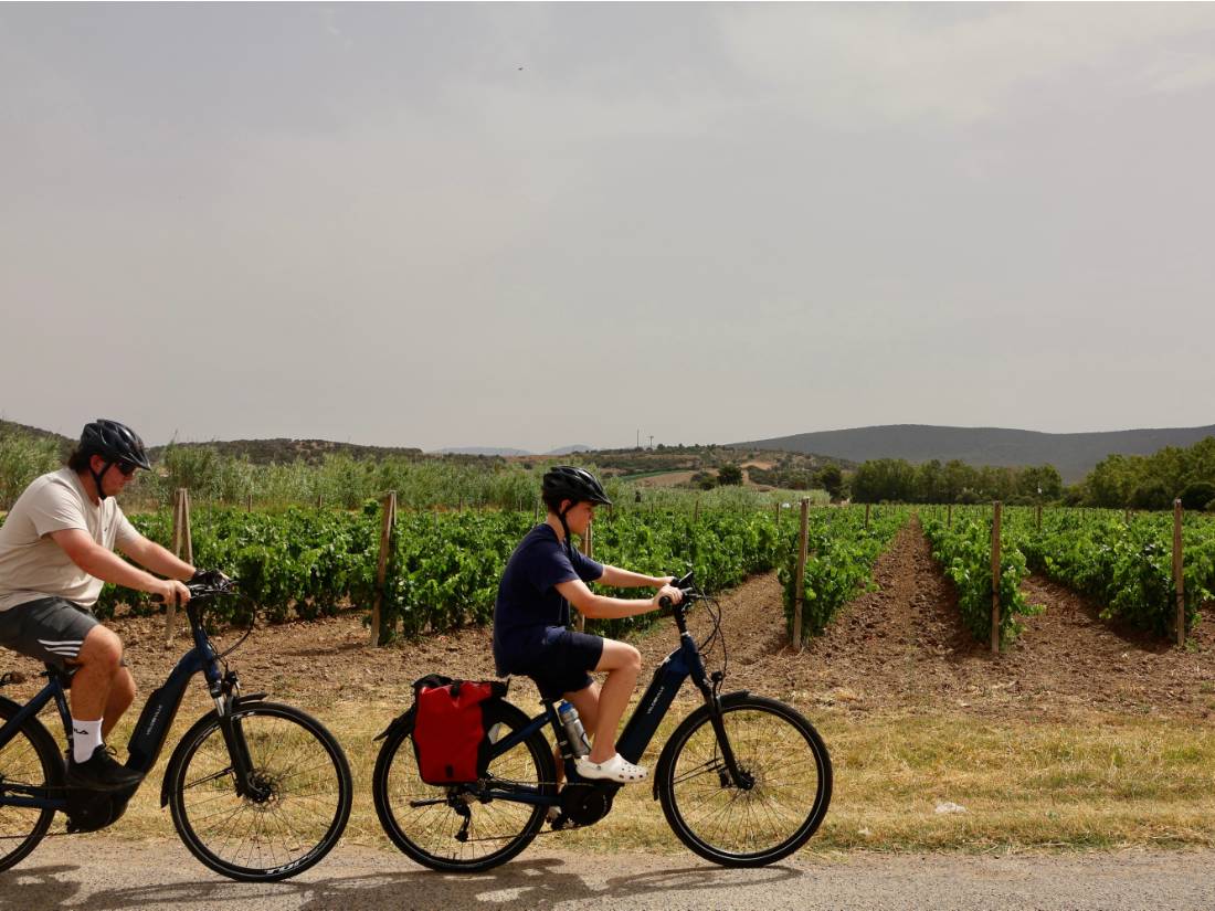 Cycling by Sardinia's pretty vineyards |  <i>Kirstie Bedford</i>