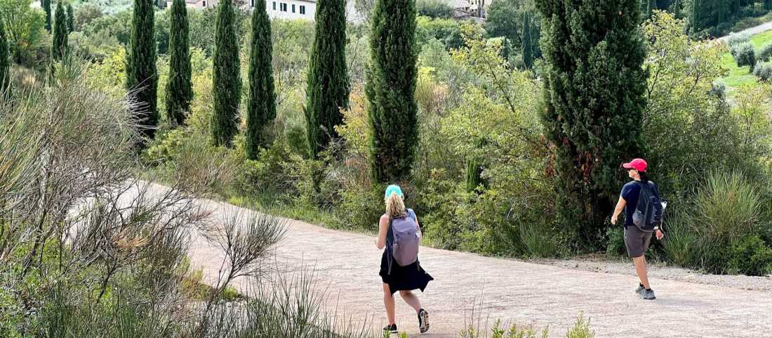 Walkers strolling down a beautiful trail. |  Sue Badyari