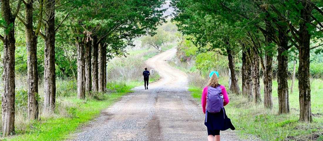 Wandering down a beautiful trail on the Via Francigena. |  Sue Badyari