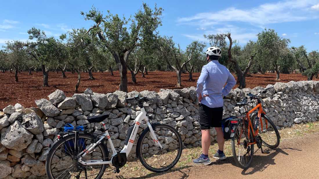 Cycling by Puglia's olive trees |  Tali Emdin