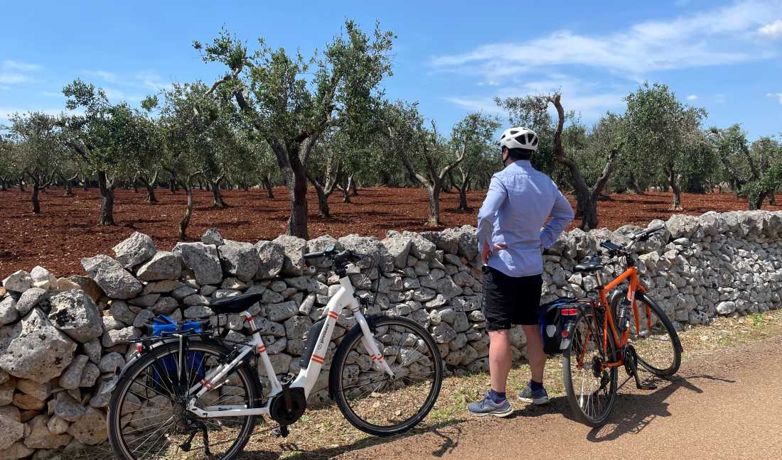 Cycling by Puglia's olive trees |  Tali Emdin
