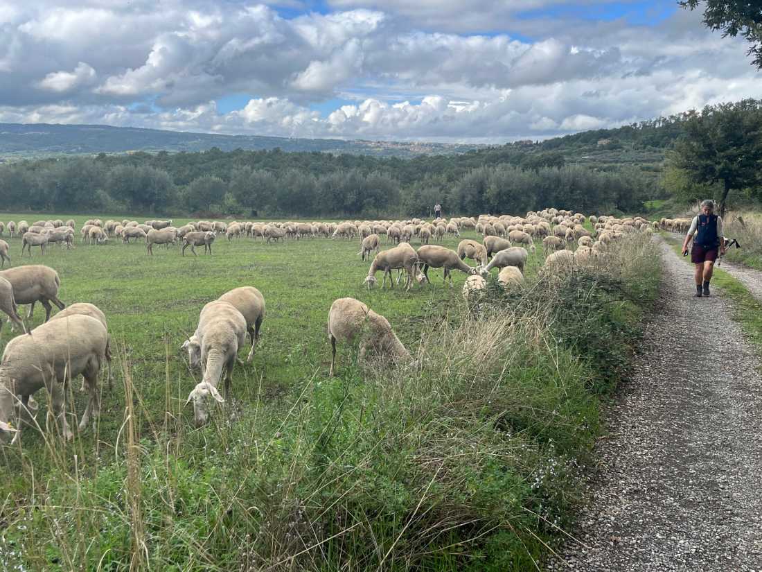 The Only Way is Up: On Foot to Rome |  Jennifer Andrewes