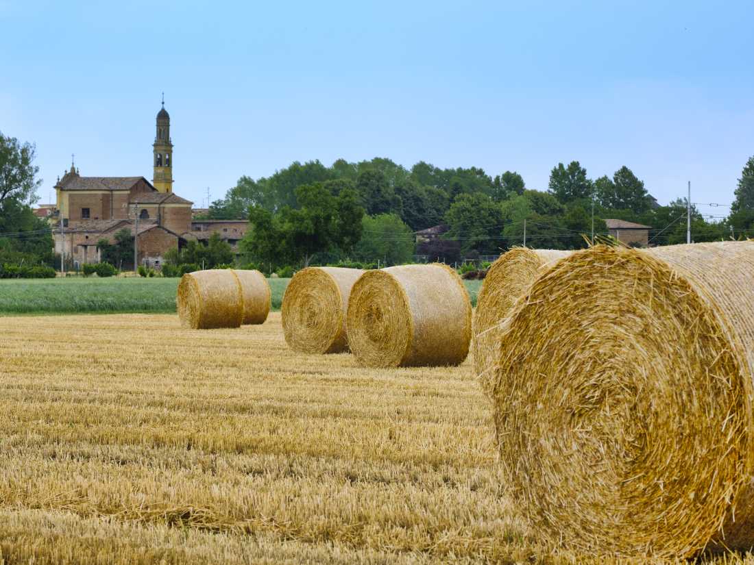 Rural landscape near Fidenza in Italy