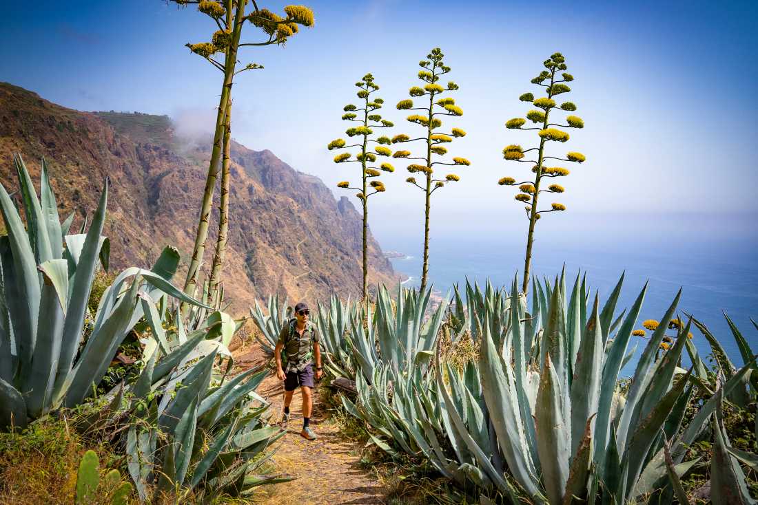 Discover the island of Madeira |  Tim Charody