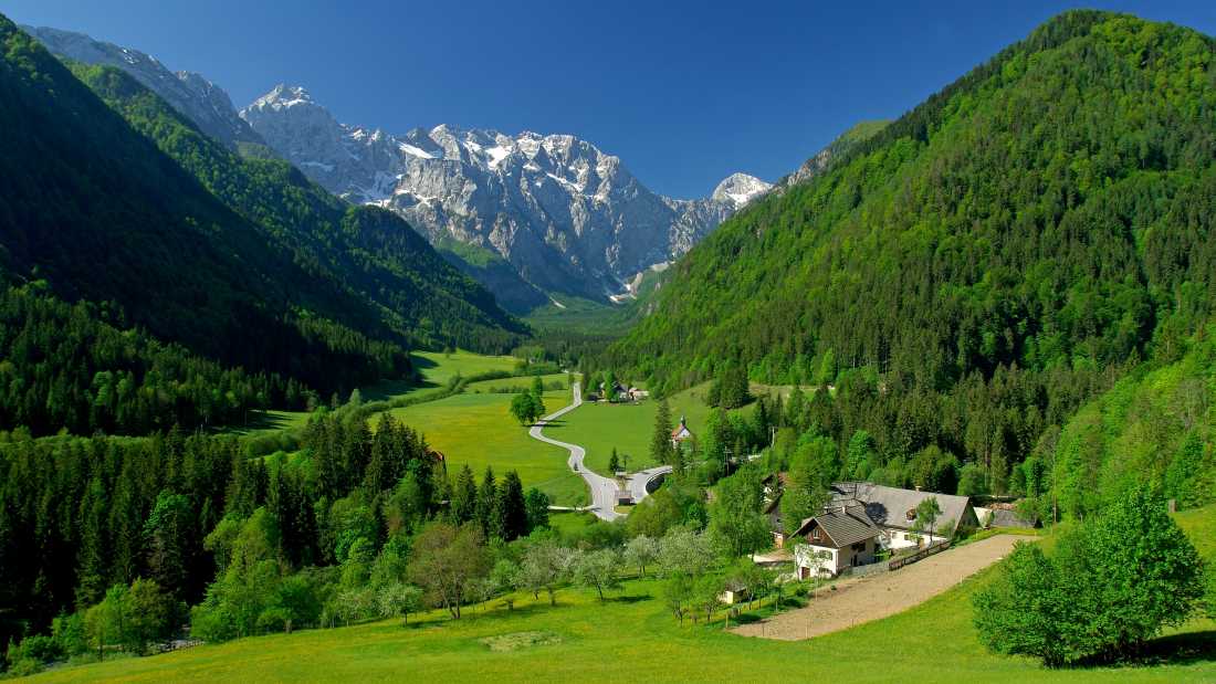 Discover the delightful alpine valleys | Tomo Jesenicnik