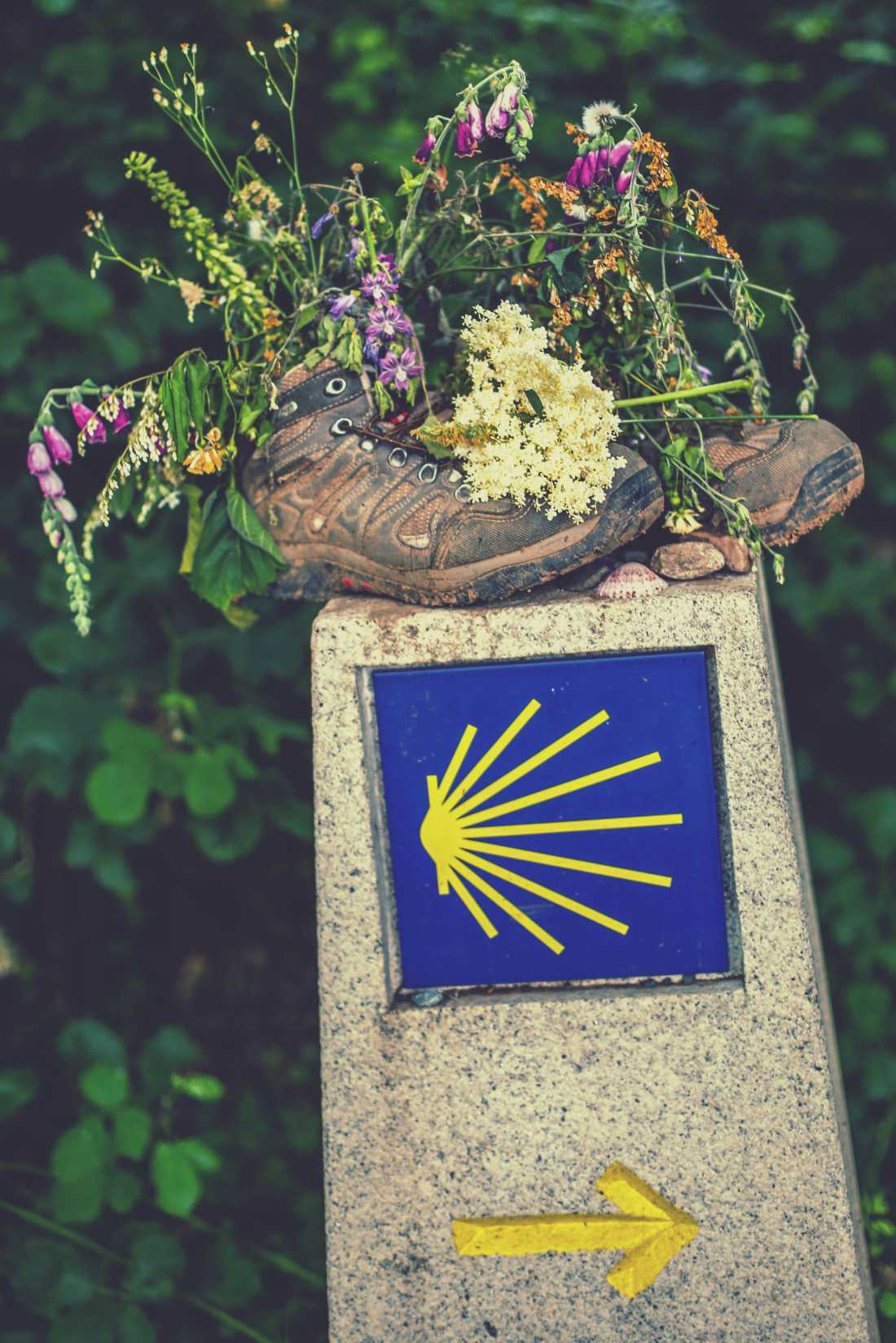Decorative signage along the Camino | @timcharody