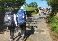 Pilgrims hiking through rural villages along the Camino Frances in Spain | Gesine Cheung