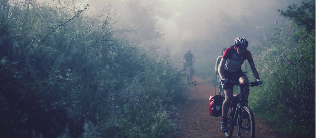 Cycling through the morning mist along the Camino | <i>@timcharody</i>