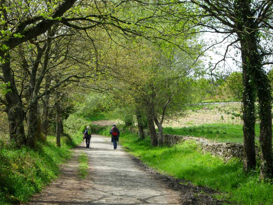 Pilgrims on the trail to Santiago in the Galicia region |  Erin Williams