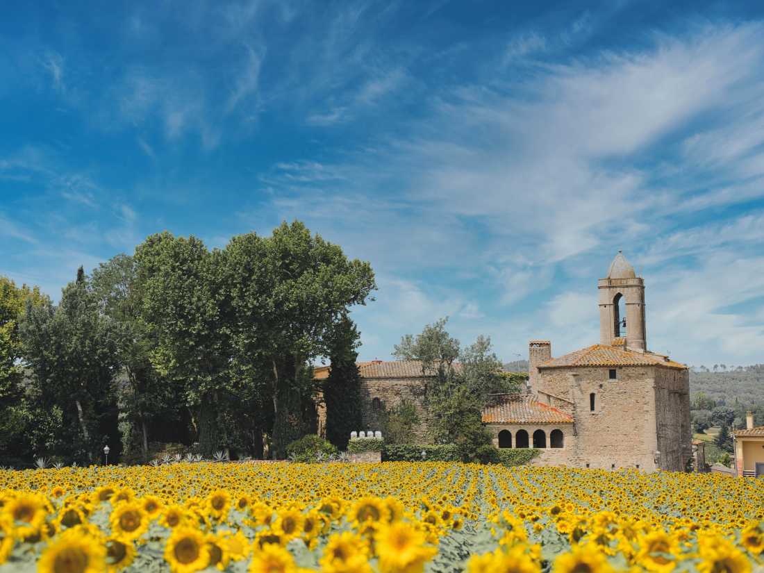 Sunflowers and castles in Pubol, Catalonia