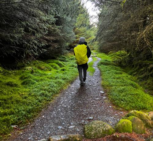 Stones crossing the path in Drumgoff Forest |  <i>Melodie Theberge</i>
