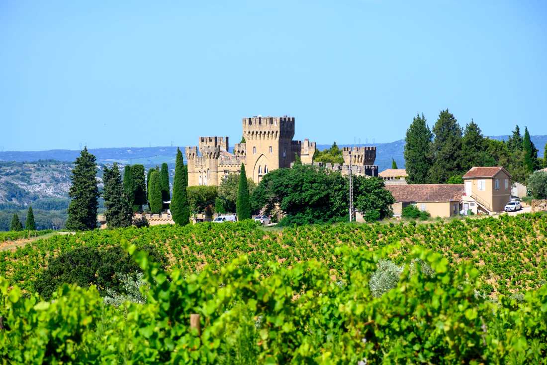 Vineyards of Chateauneuf du Pape appellation with grapes growing on soils with large rounded stones galets roules, lime stones, gravels, sand and clay, famous full body red wines, France |  barmalini