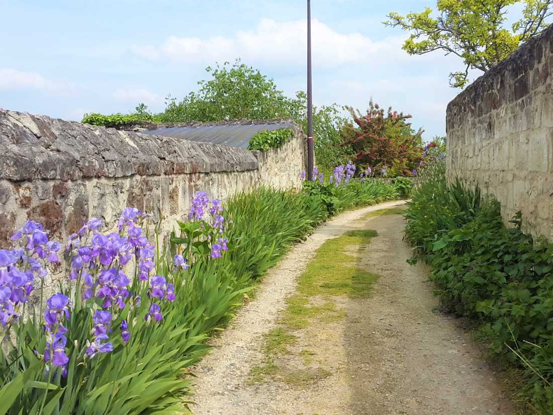 Colourful path in Montsoreau, Loire Valley |  Suavemarimagno