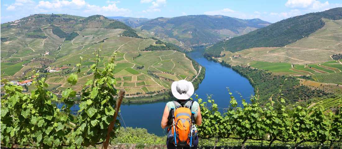 Enjoying the view, Douro Valley